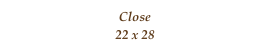 Close
22 x 28
