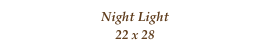 Night Light
22 x 28